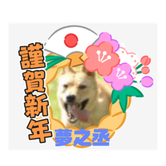 ピースワンコ保護犬スタンプ ワンだふるver