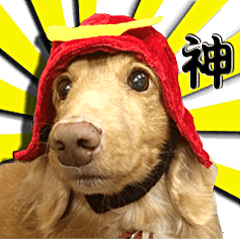 ダックスフンドの日常会話に便利なスタンプ