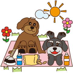 トイプーときどきシュナ〜春夏のお出かけ編