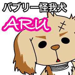 バブリー怪我犬 ARU
