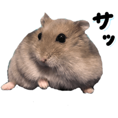 ハムスターのチップとレモン