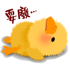 かわいいアヒルの子-ヤヤ