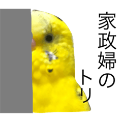 テロテロリーナ