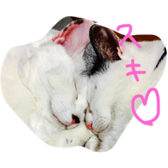 こまちといぶり