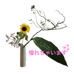 いけばなスタンプ with 花言葉