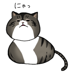 ねこのななくん♪