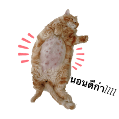 Autumn_20210926213453