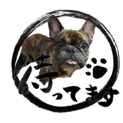 たいがーぶりちゃん 2