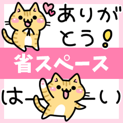 ねここさん19　省スペース