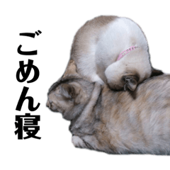 まっちゃとかんちゃん