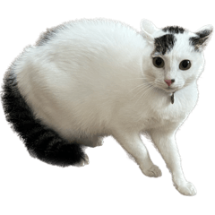 ツンデレなずな