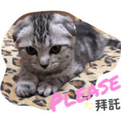 lin lin_20221015212358