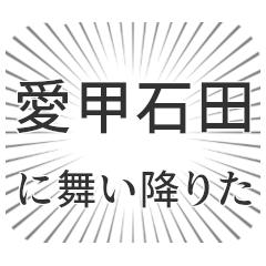 愛甲石田生活