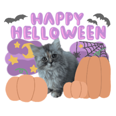 クロエちゃん　ハロウィン