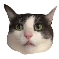 ちび之助さん2♡