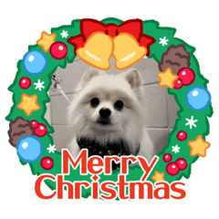 わたスタンプ☆