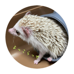 ハリネズミ　ちろスタンプ