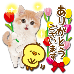 春ずっと使える❤️かわいい猫❤️敬語にゃん