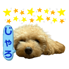 使いやすいスタンプ(敬語方言もあり)