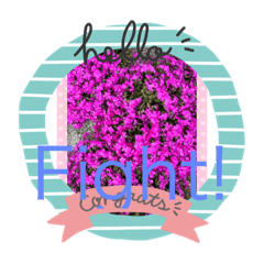 稲子川コウヘイ