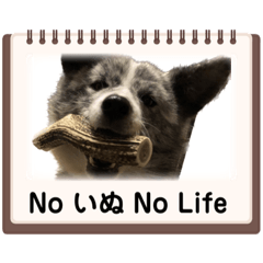 秋田犬（虎毛）スタンプ②