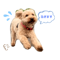 茶々丸くんの日常スタンプ☆