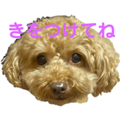 さちのスタンプ③