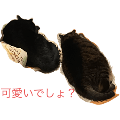 猫と肉球スタンプ