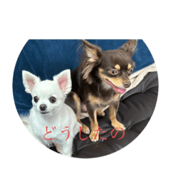 からとえるのご挨拶