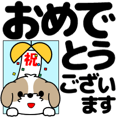 飛び出す！シーズー「デカ文字」