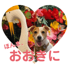 大阪のシェリ。