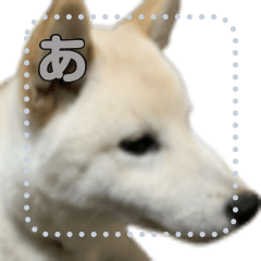 ももと白雪のスタンプ