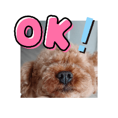 Rooちゃんのスタンプ！