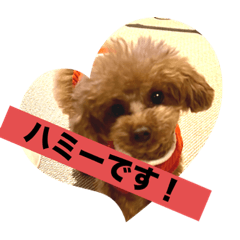 ハミースタンプno.2