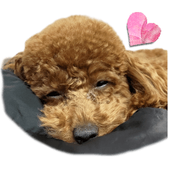 もち☺︎スタンプ・ハート