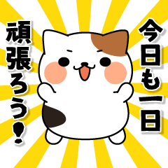 飛びだす！全力！ミケネコさん！