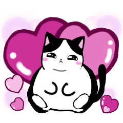 おデブなハチワレ君の日常‼