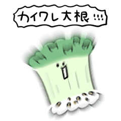 シンプル カイワレ大根 日常会話