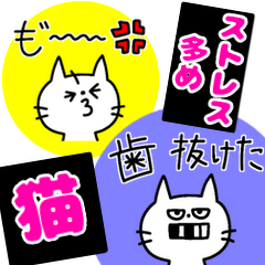 ストレス多め猫❗❗