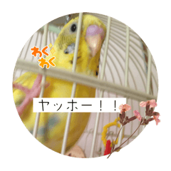 トリさんのあいさつ