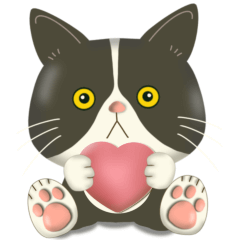 きもちまるごと！ハチワレぶーにゃん