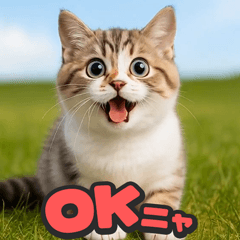 飛び出す★リアル猫にズームイン！