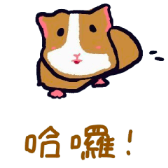 What are Fei&Nuo doing?