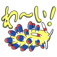 カラフルなウミウシたち