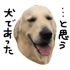 レイちゃんスタンプ2