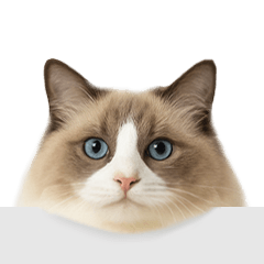 進撃のニャンコ