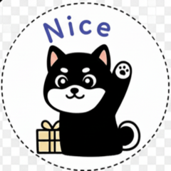 山北平山から来た黒豆柴力丸