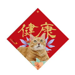 Happy New Year(2026)