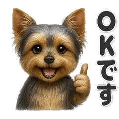 【敬語】使いやすい！ヨークシャーテリア