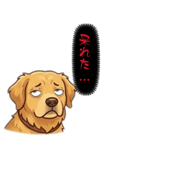 これさえあれば、いつもの会話。